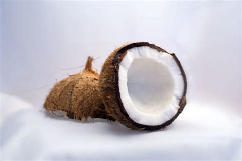 Coconut ne demek